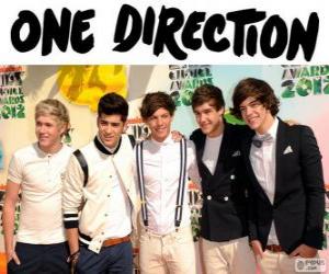 пазл One Direction является boy band ЛУГАБРИТ irlandesa